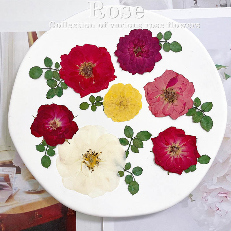 Yellow Phone Accessories - 60pcs Pressed Dried Red Yellow Pink