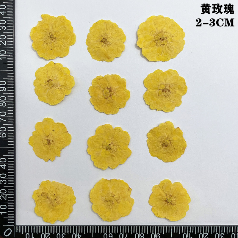 60pcs Pressed Dried Red Yellow - đánh giá và giá Yellow Phone Accessories